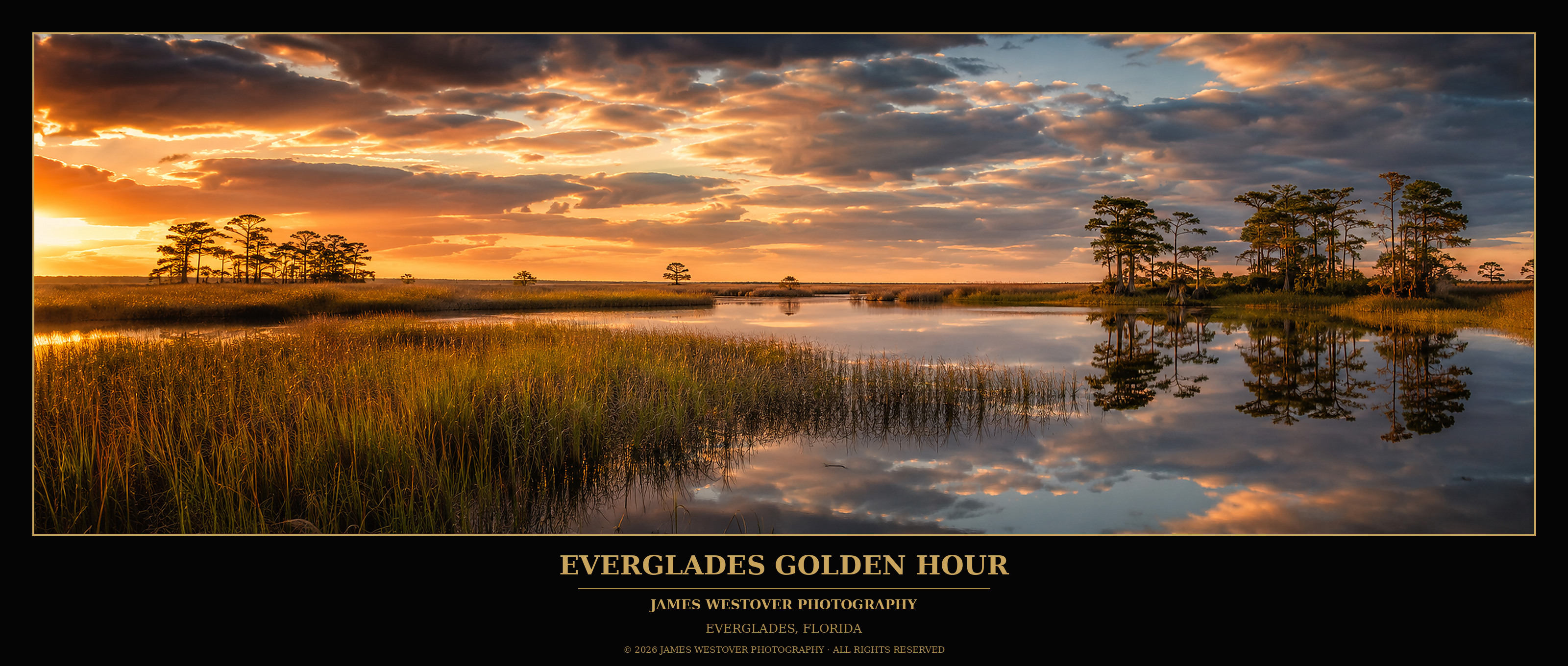 Everglades Golden Hour