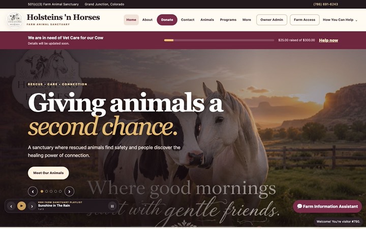 Home page of Holsteins 'n Horses