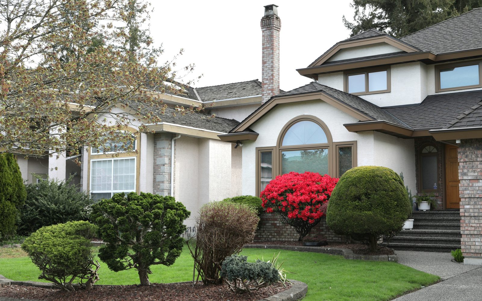 Manicured shrubs, foundation plantings, and curb-appeal maintenance