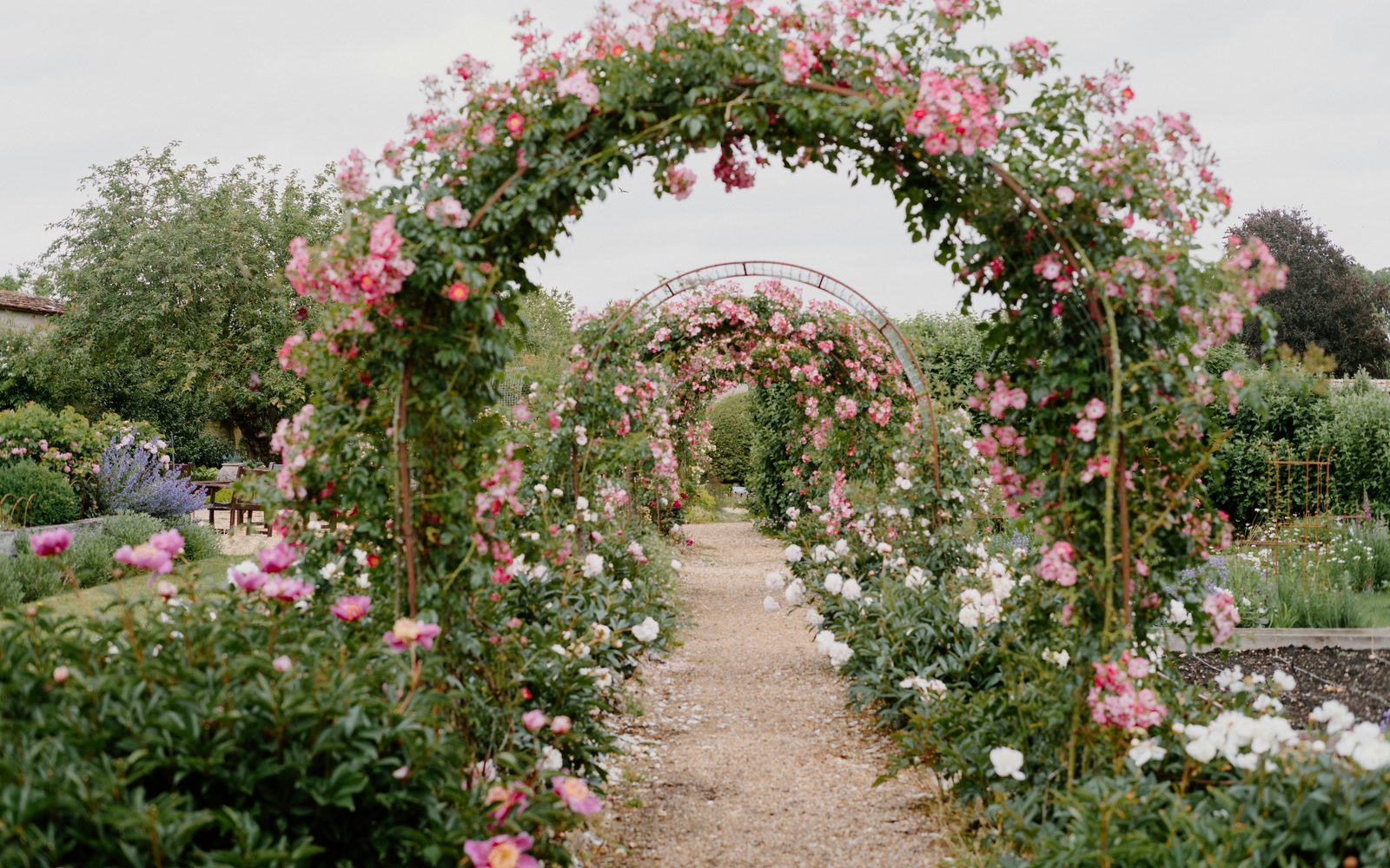 Rose garden, garden path, and seasonal landscape care