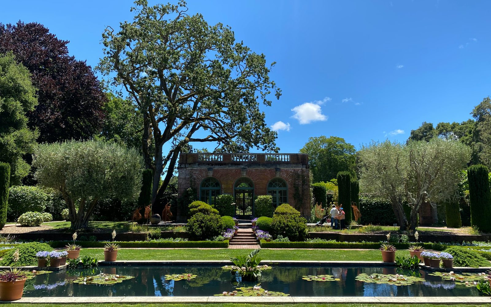 Estate-style grounds, trees, lawn, and ornamental landscape maintenance