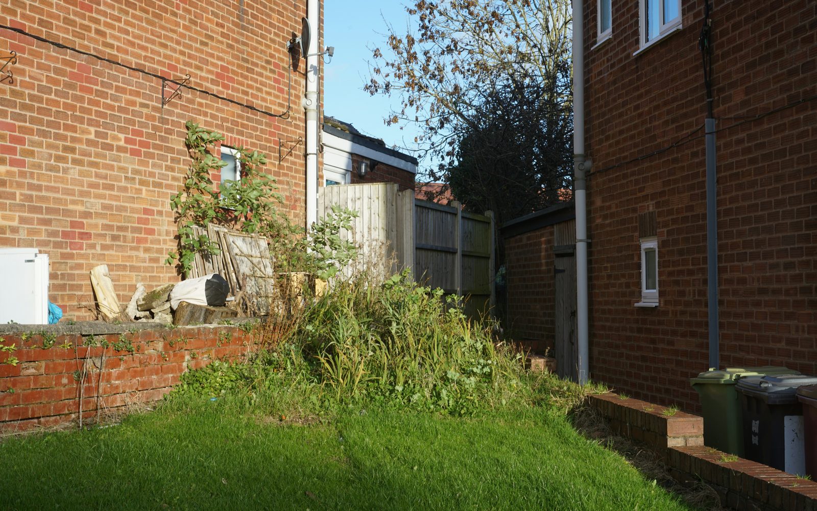 Overgrowth and seasonal property cleanup before maintenance