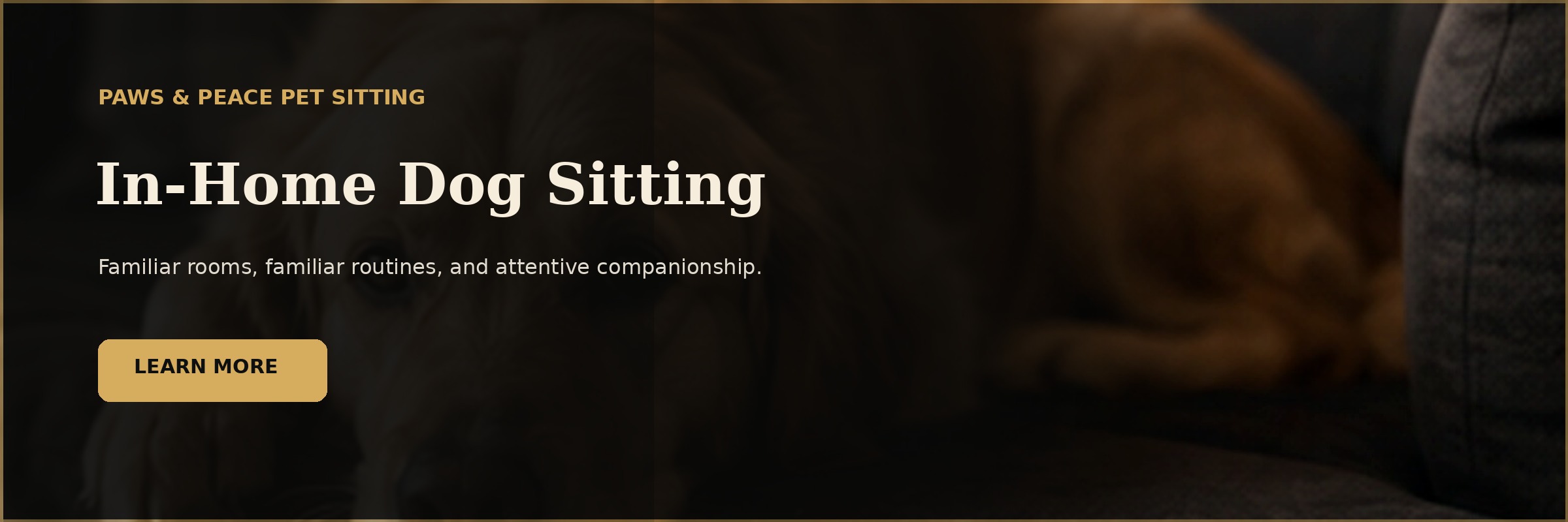 In-home dog sitting demonstration banner with a relaxed dog at home