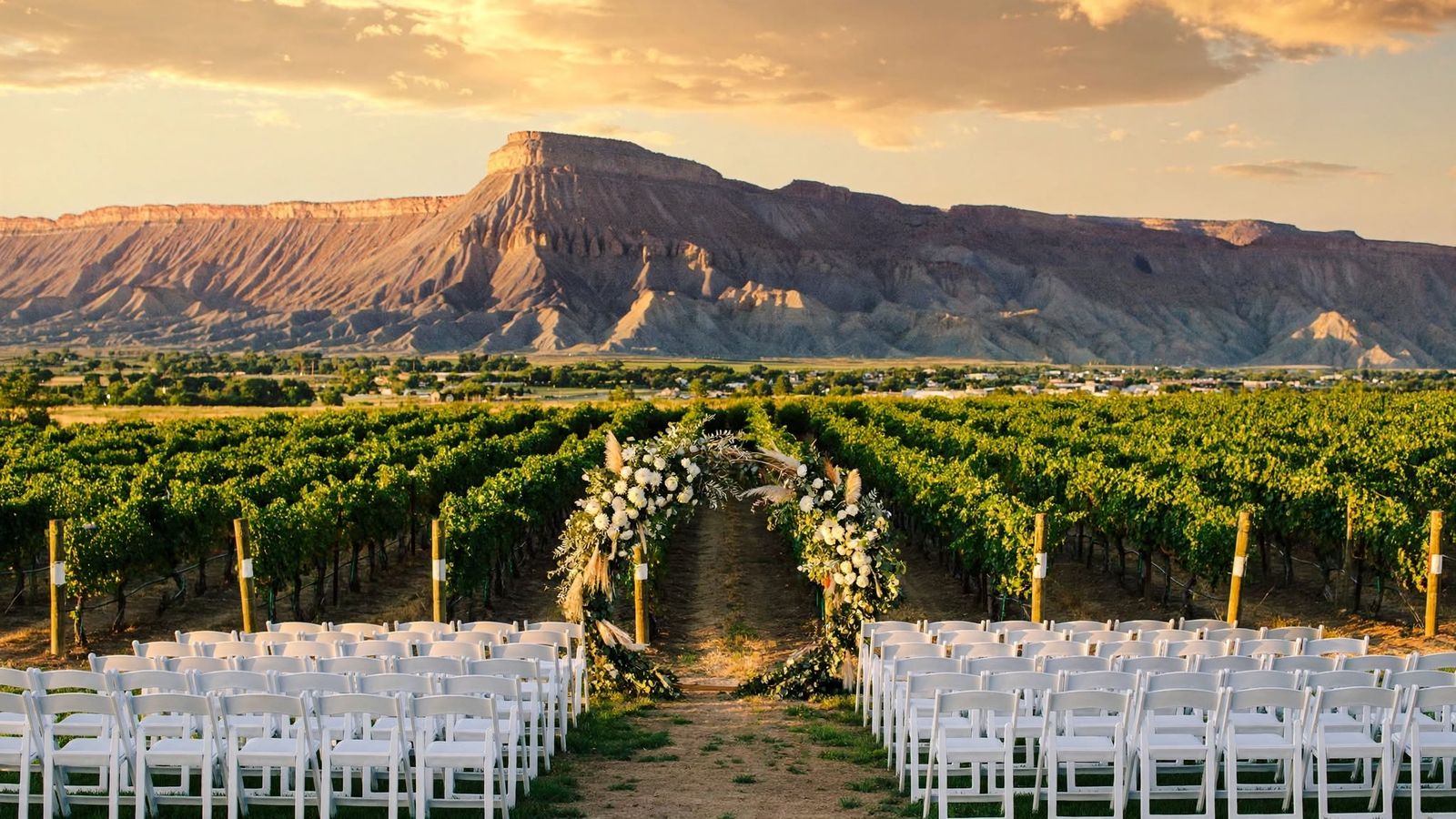 A vineyard wedding ceremony at golden hour: a white floral arch at the end of the vine rows, white chairs on both sides and Mount Garfield behind